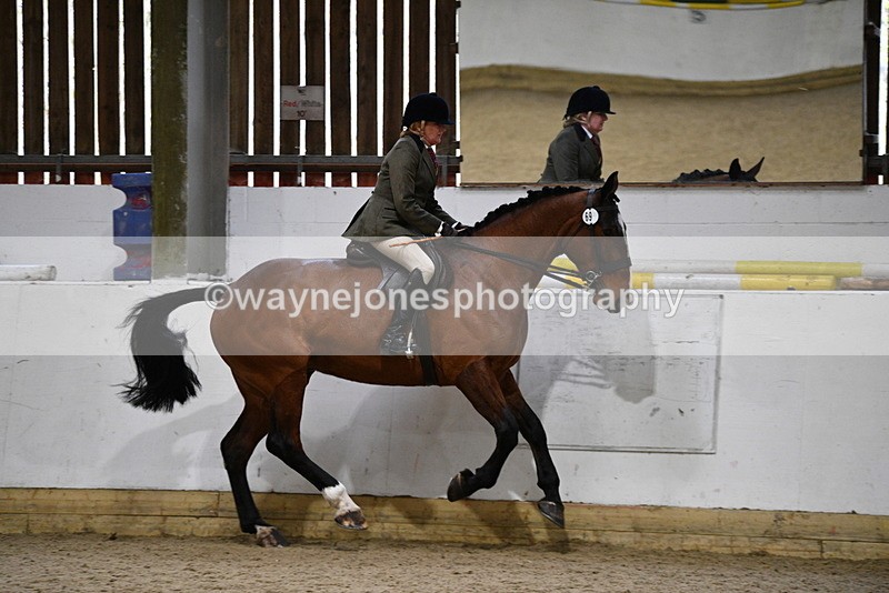 WJ5_9017 - Class 15 Ridden Show Horse