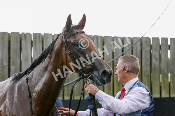 220824-Race 4-Content-7773 - Race 4 3.35pm Pertemps Network Yorkshire Oaks