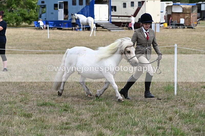 WJ6_5948 - Class 19 In-hand Veterans (Uploaded correct folder)