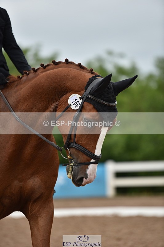 240623A-110618-16989 - Cls 47 BD Novice 22