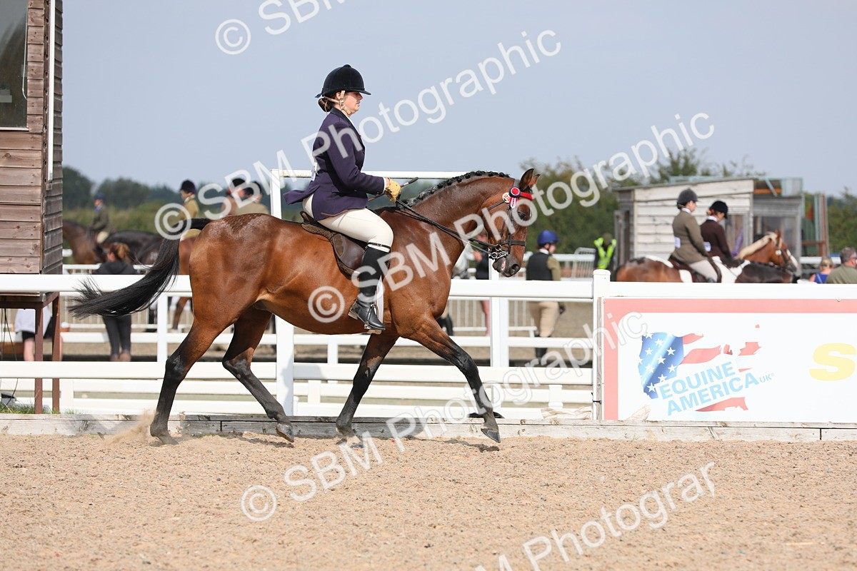 SBM_15571 - Class 311 Ridden Show Pony/ Show Hunter Pony