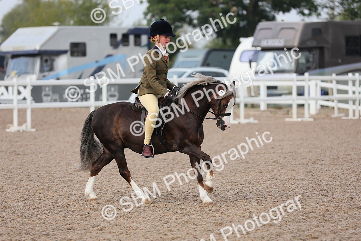 SBM_09617 - Class 301 Ridden M&M -Small Breeds