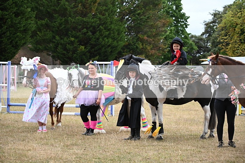 WJ6_9239 - Class 11 Fancy Dress