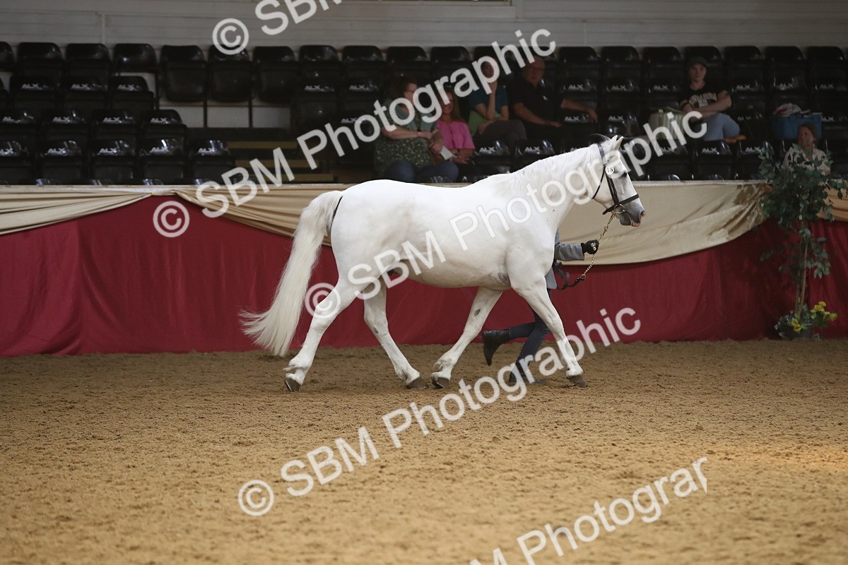 SBM_05640 - Class 9R - Regional IH Pre-Vet