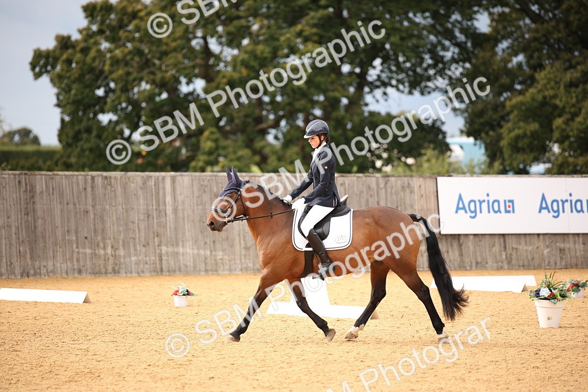 SBM_12264 - D3 Small  Tour Championship Intro A