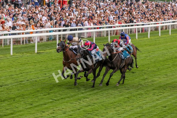260724-Race 2-Churchella-3994 - Race 2 6.05pm Pearly Cow Handicap