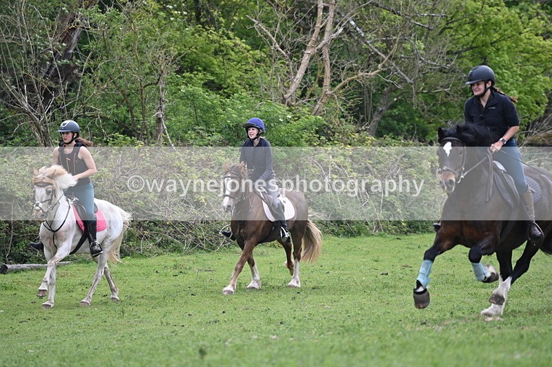WJ6_3294 - A camera