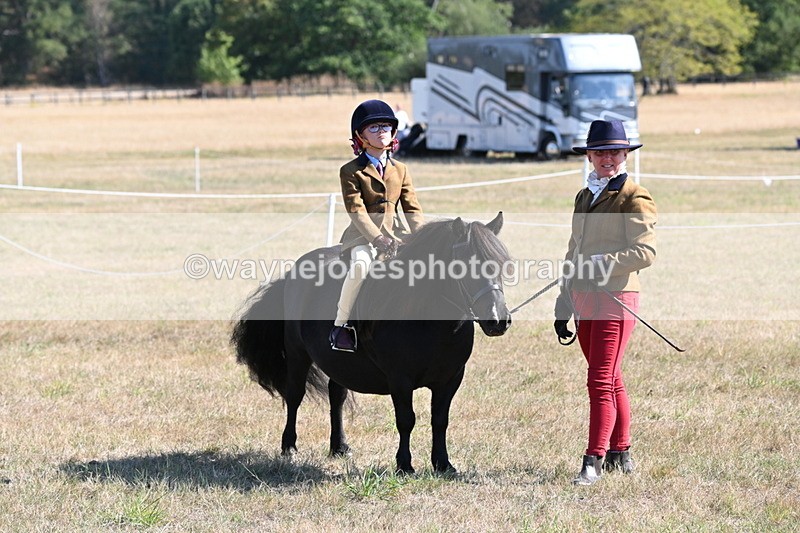 WJ6_7569 - Class 34 Judges Choice