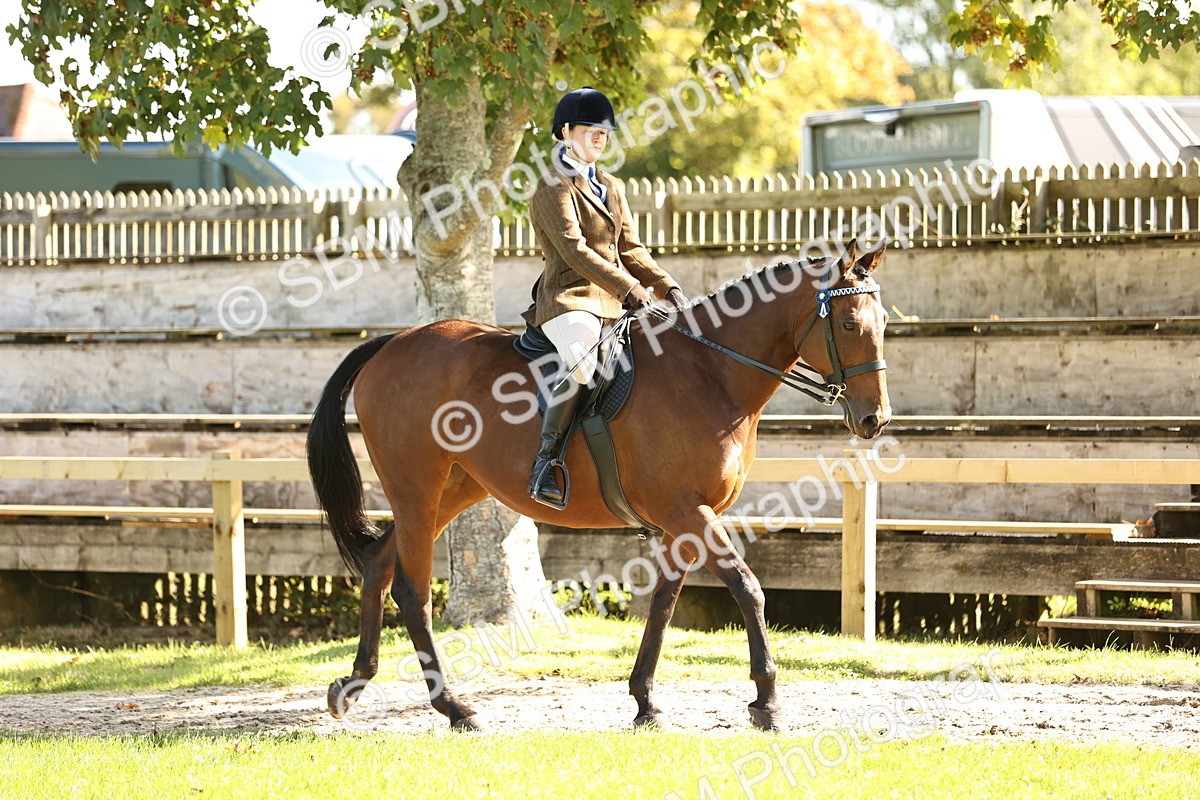 SBM_16993 - S2 - TSR Ridden Pony Showing