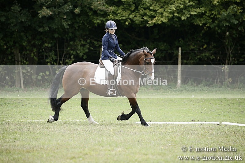 BVR080918 244 - BVRC Novice Dressage & CR 08/09/18