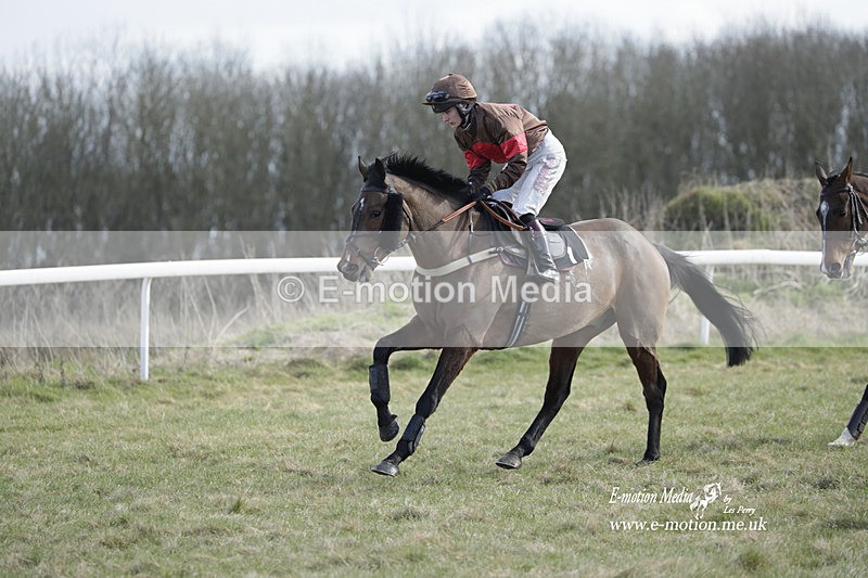 PtP 260223 537 - South & West Wilts Point-to-Point Larkhill 26/02/23