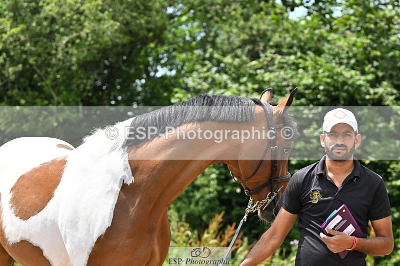 240718A-105308-01600 - Trot Up 1pm to 2pm