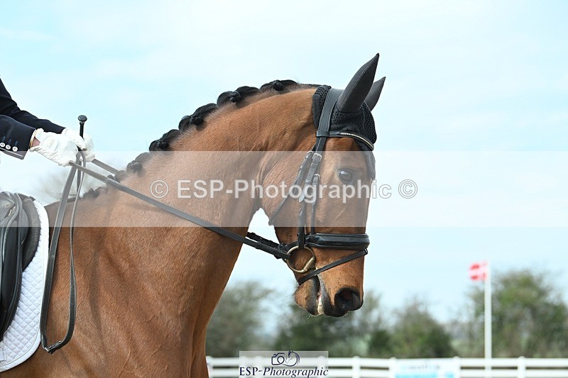 250403-103139-01425 - 036-Abbie.Newbury-Seagry.Viceroy