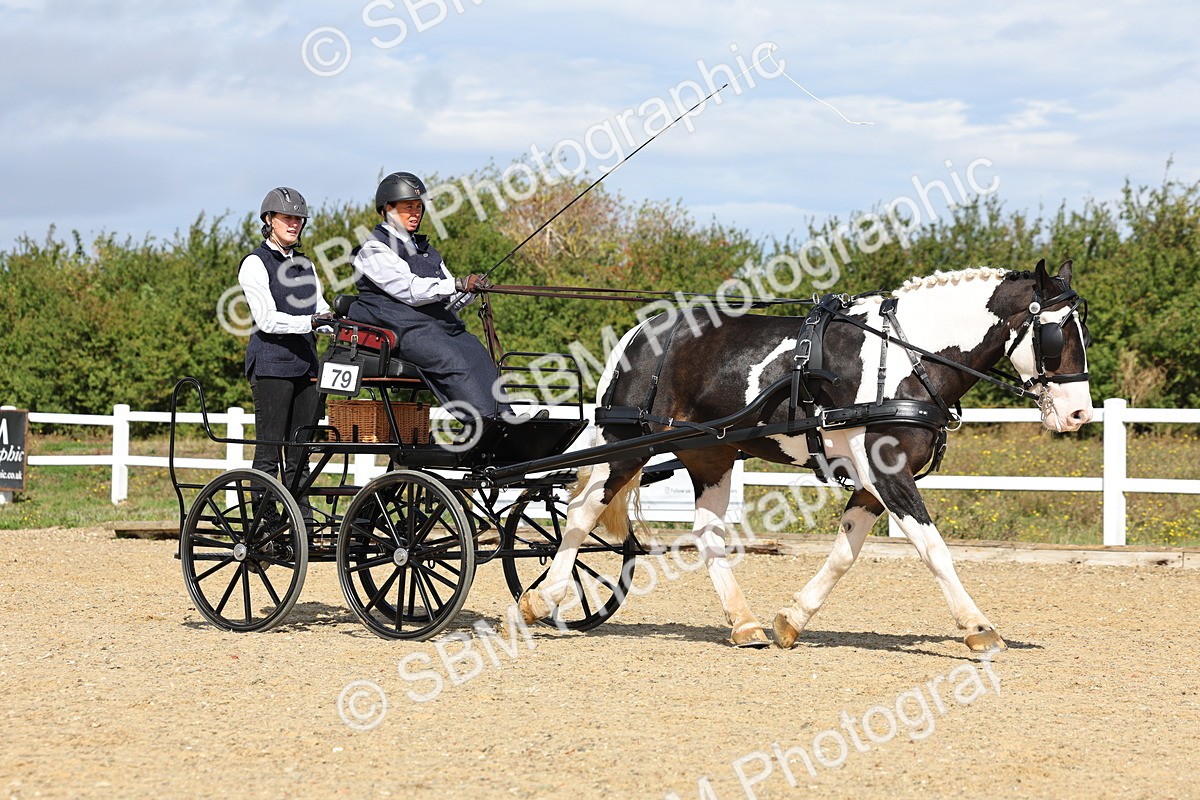 SBM_000890 - Class 8 - Novice Horse or Pony to any vehicle