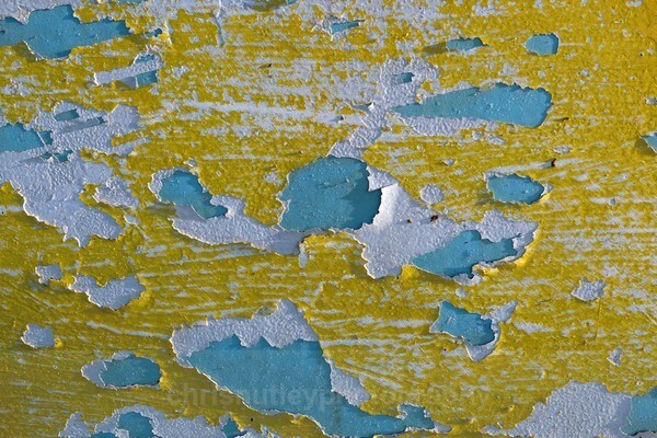  - Detail in Landscape