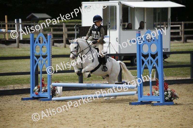 20250622-3968 - 50cm