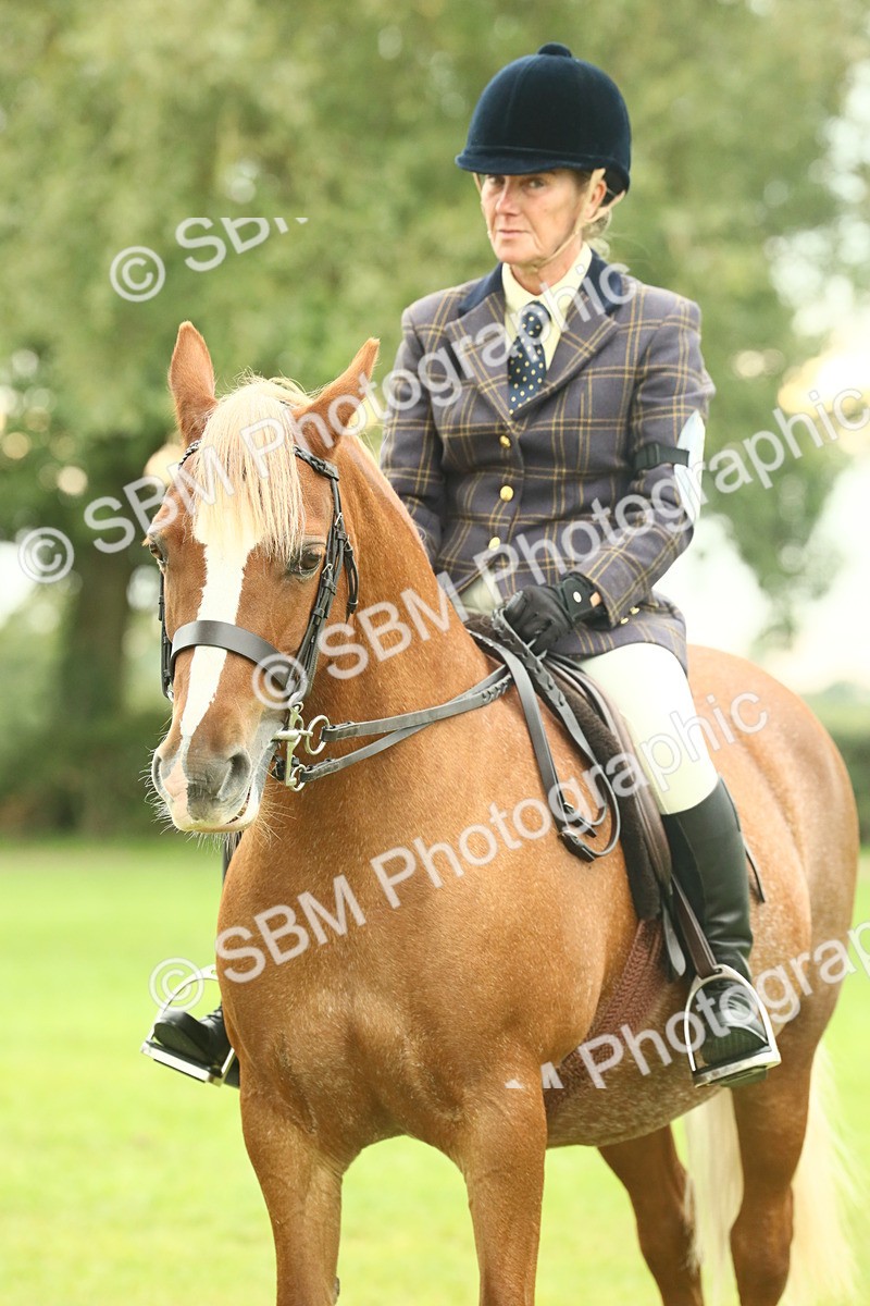 SBM_72255 - S60 - Mountain & Moorland Ridden Large Breeds