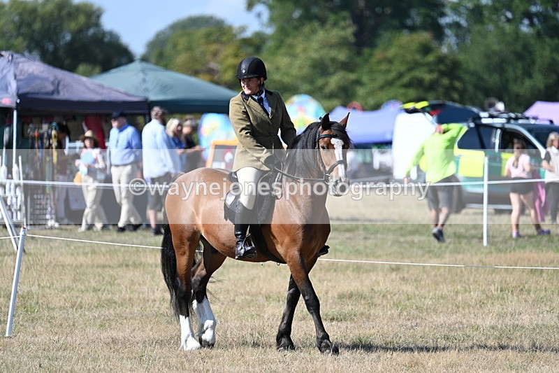 WJ7_3580 - Class 9 Mountain & Moorland Ridden