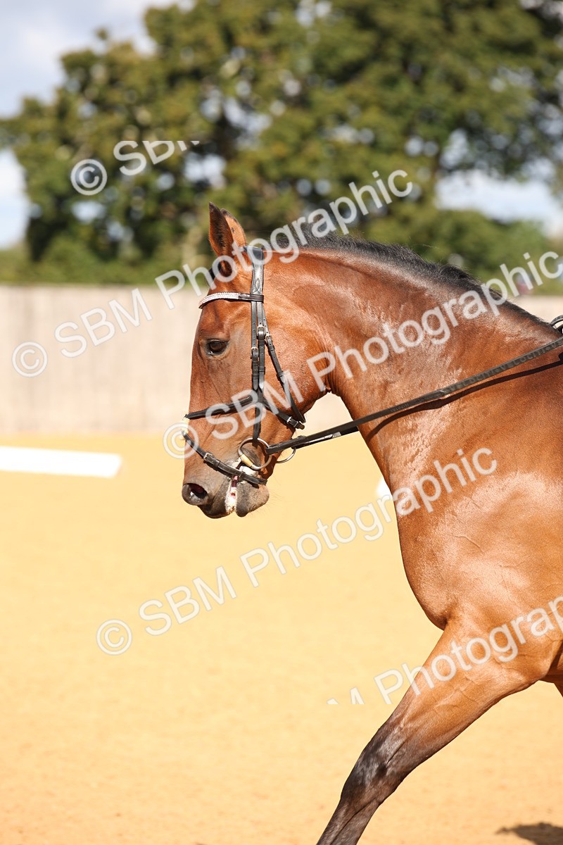 SBM_04203 - D2 Small Tour Championship Intro C