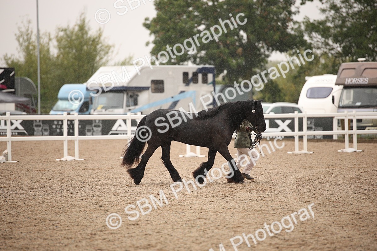 SBM_20698 - Class 705 - IH  Combination 65+