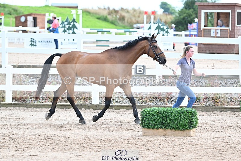 240717A-143840-02160 - Trot Up 2pm to 3pm - This folder is not in time order