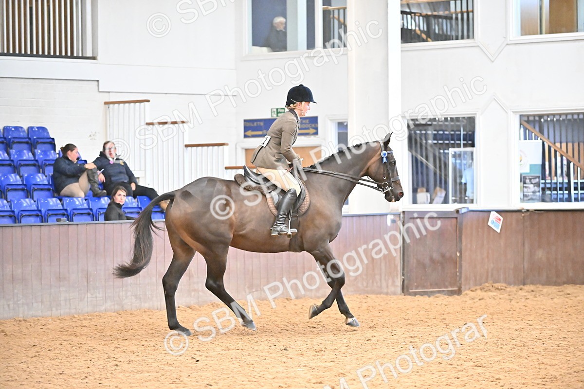 SBM_002409 - Class 22 - BSHA Ridden Hack & Riding Horse