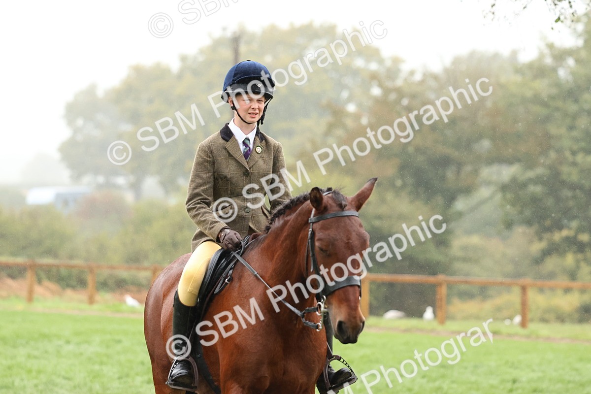 SBM_73075 - S63 Show Pony & Show Hunter Pony Ridden
