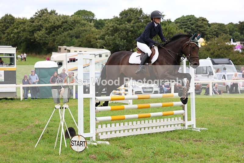 3E7A7034 - Class 5: Senior British Novice/90cm open