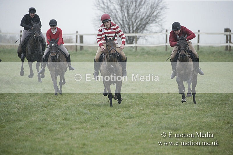 PtP 150320 0005 - New Forest Point-to-Point Larkhill 15/03/20