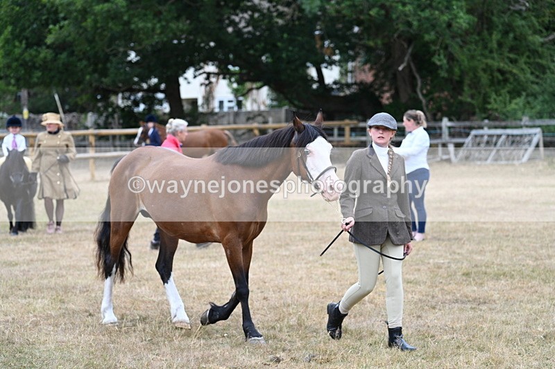 WJ7_8043 - Class 4 Prettiest Mare up to 14.2hh