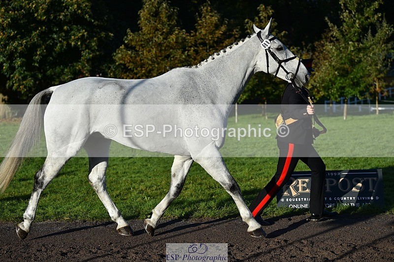 231022-093146-21856 - 688-MCALLISTER-Capt.Amy.Cooper-TrotUp+SJ