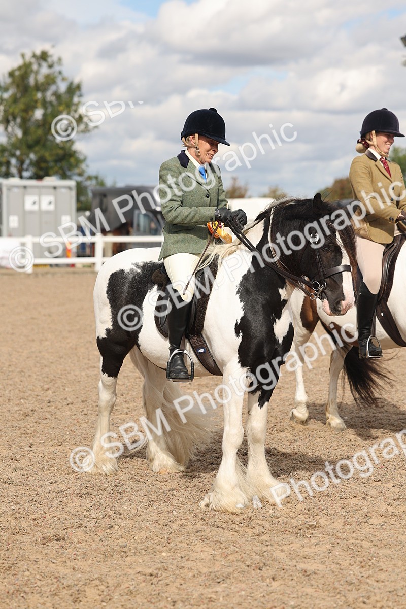 SBM_14693 - Class 307 - Ridden Coloured Pony