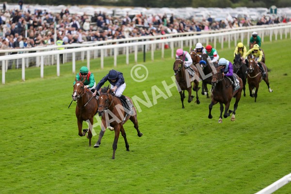 210824-Race 4-City Of Troy-7295 - Race 4 3.35pm Juddmonte International Stakes