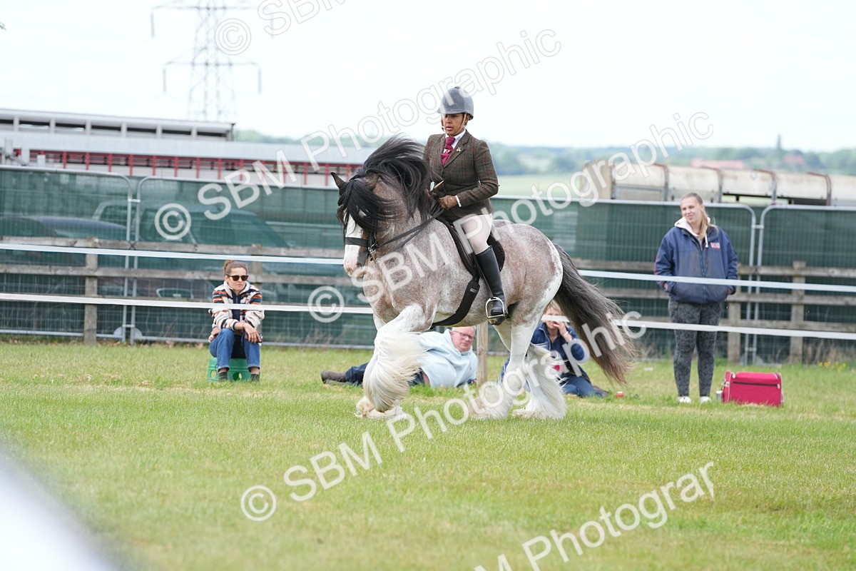 SBM_17210 - Class 107-108 - LIHS BSPS Performance Coloured Horse Pony