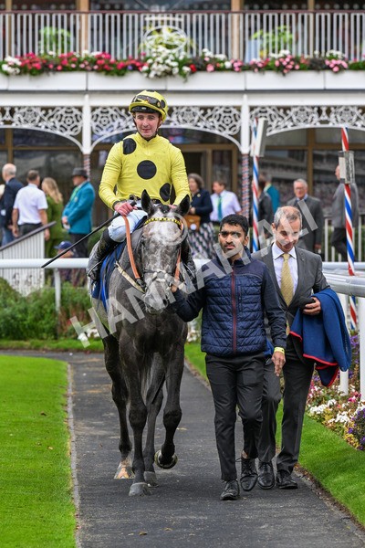 101025-Race 1-Ice Max-0073 - Race 1 William Hill Autumn Mile Handicap at York