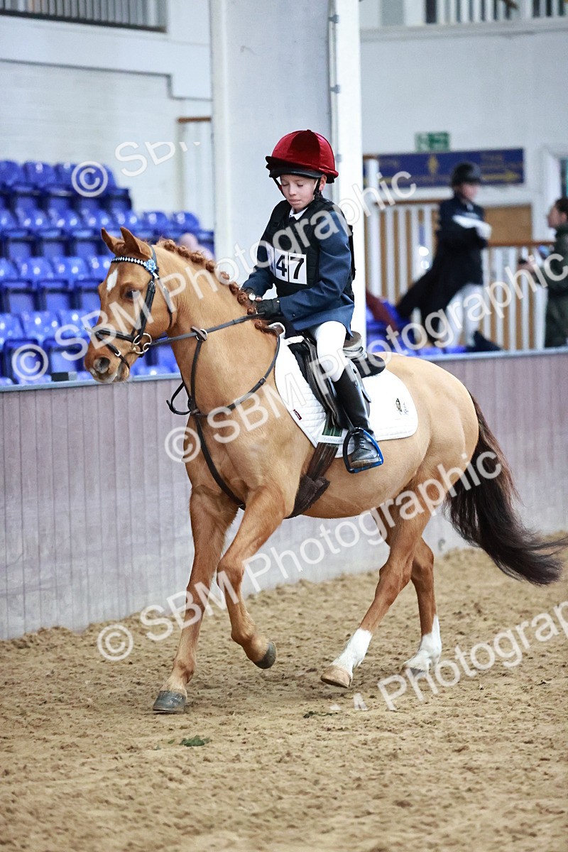 SBM_000385 - Class 2 - 50cm