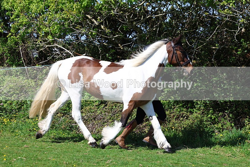 3E7A9360 - Class 16: Best Grass Kept