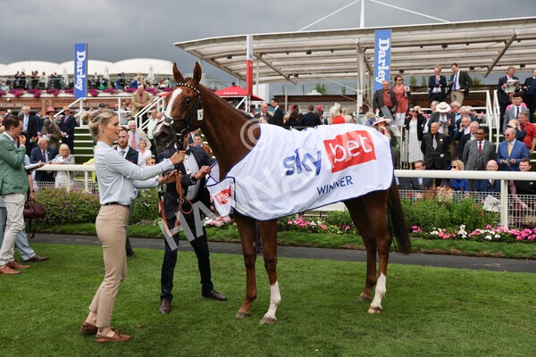 yr18082022r1-56 - Race 1 1.50pm Sky Bet Lowther Stakes
