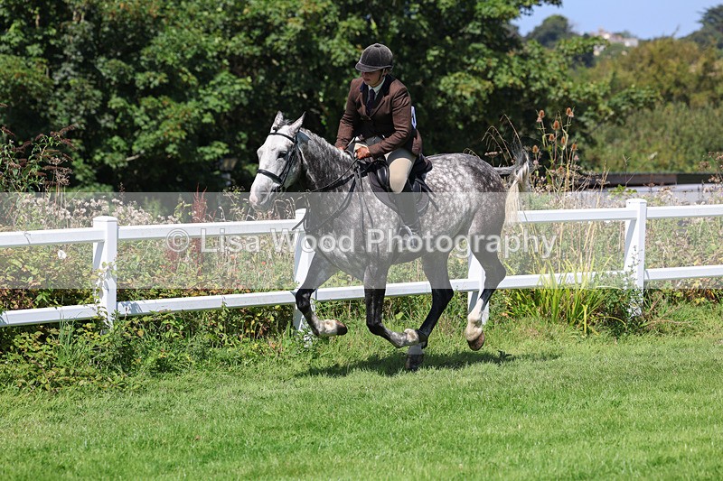 3E7A8995 - Class 6: Open Working Horse