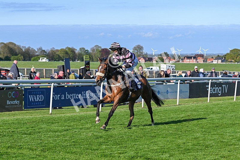 240425-Race 8-Kimeko Glory-1947 - Race 8