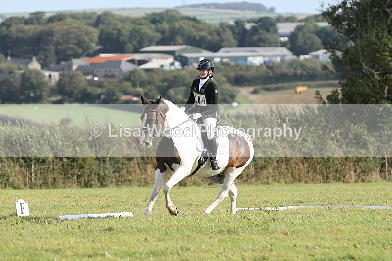 JPP_8124 - Class 2A: Trekenning Open: Dressage