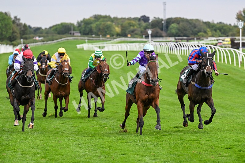 011025-Race 5-Blue Jay Way-0479 - Race 5