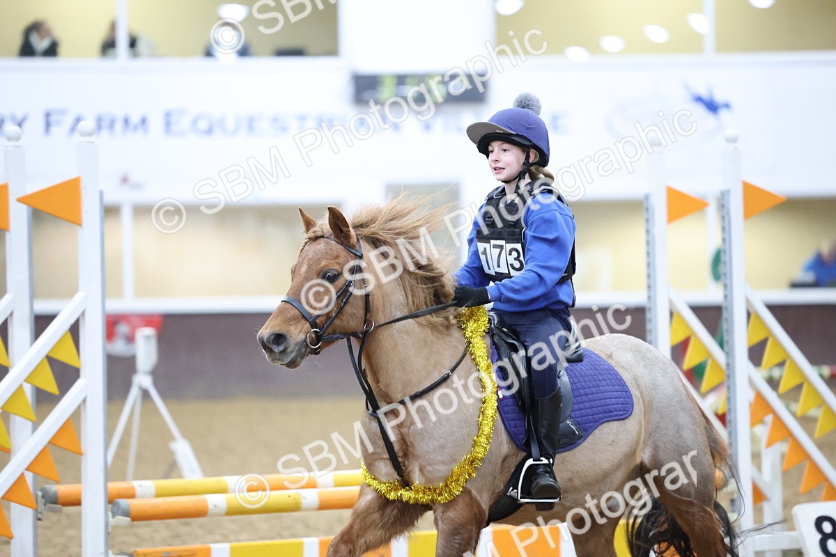 SBM_001084 - Class 3 - Christmas Tree Stakes - 60cm