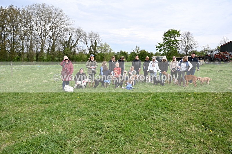 WJ6_8194 - Class 2 Best Pedigree