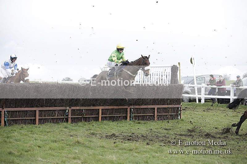 PtP 150320 0585 - New Forest Point-to-Point Larkhill 15/03/20