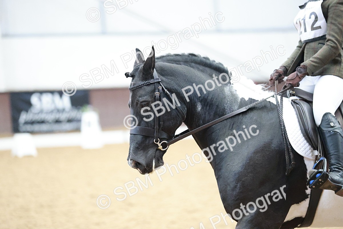 SBM_003865 - Class 2 - Novice 2020