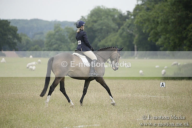 B230619-0902 - Bourne Valley Riding Club Summer Show 23/06/19