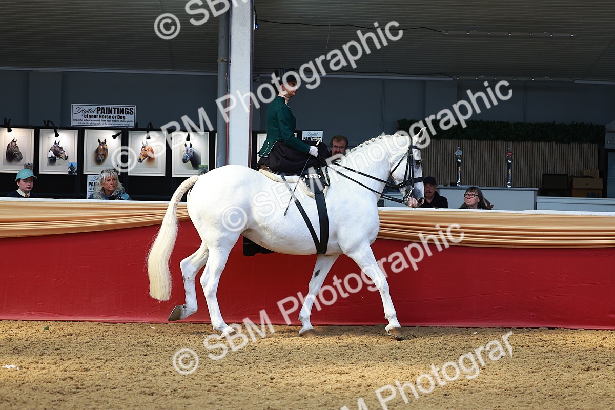 SBM_13849 - Class 106 - Ridden Costume - Side Saddle