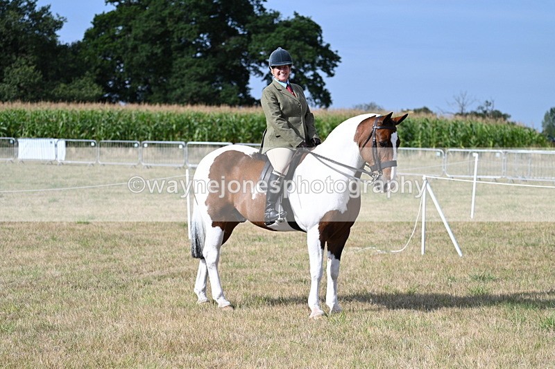 WJ7_2593 - Class 8 Ridden Tack & Turnout