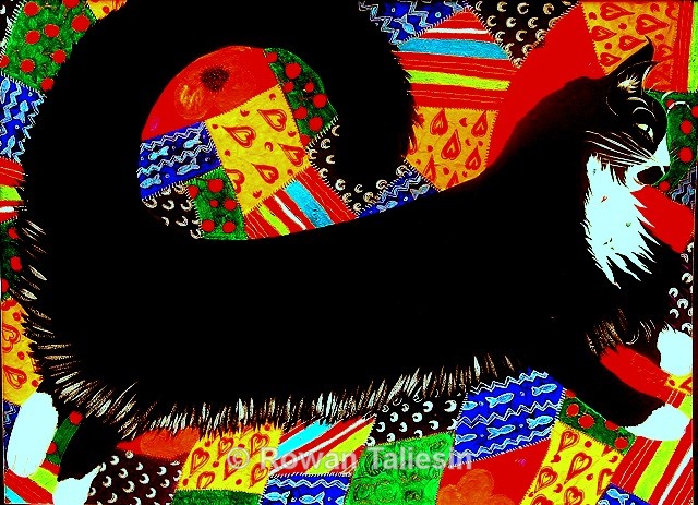 Cymbeline © Rowan Taliesin 2005 - ANIMALS
